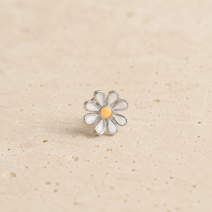Cosmos Blossom